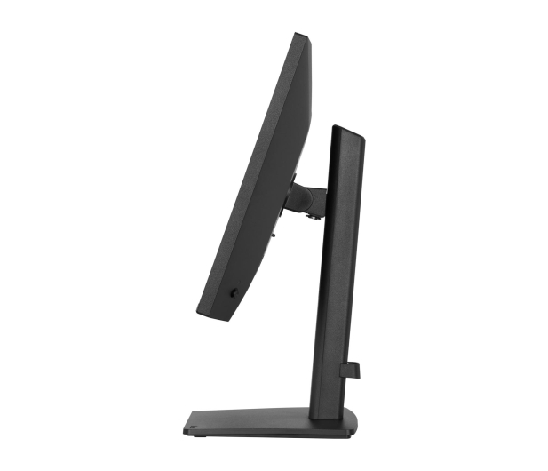 iiyama ProLite XB2491HS-B1 - 1518007 - zdjęcie 4